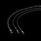 Final Audio D8000 DC Open Back Planar Magnetic Headphones