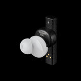 Live - Shop Final Audio ZE8000 MK2 wireless noise cancelling earphones on sale on Audio46