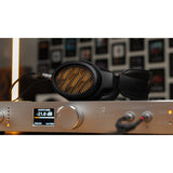 Warwick Acoustics APERIO GoldenSound Edition Electrostatic Reference System
