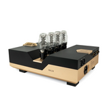 Woo Audio WA24 20th Anniversary Edition, exceptional tube amp featuring balanced outputs for a rich and immersive listening experience