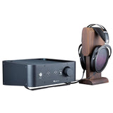 Jade II Electrostatic Amplifier