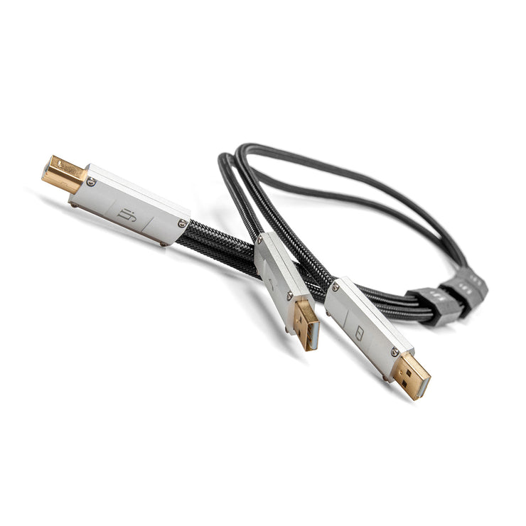iFi Silent Power Gemini 0.7m Dual-Headed USB-A to USB-B Cable - Discontinued