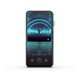 iBasso DX300 High Performance Digital Audio Player - Discontinued
