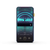 iBasso DX300 High Performance Digital Audio Player - Discontinued
